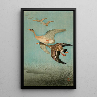 Ohara Koson - Flying Geese.webp