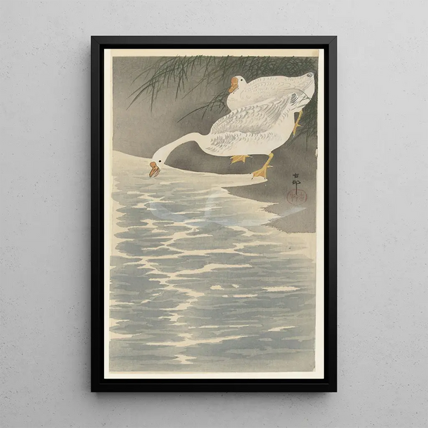 Joutsenet rannalla - Ohara Koson — kehystetty taideteos seinällä