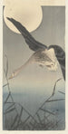 Joutsen - Ohara Koson — näkymä teoksesta