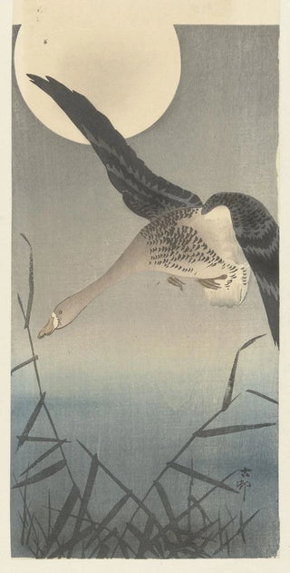 Ohara Koson - Goose.webp