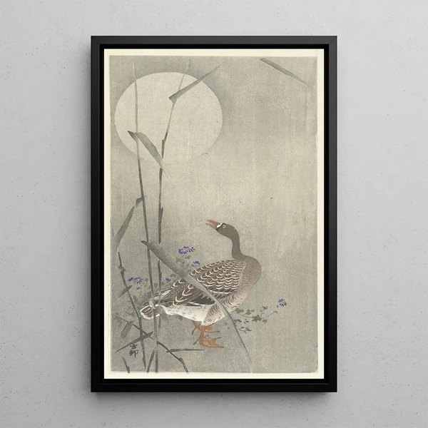 Joutsen täysikuun loisteessa - Ohara Koson — kehystetty taideteos seinällä