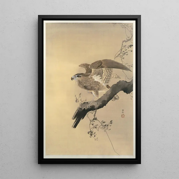 haukka - Ohara Koson — kehystetty taideteos seinällä