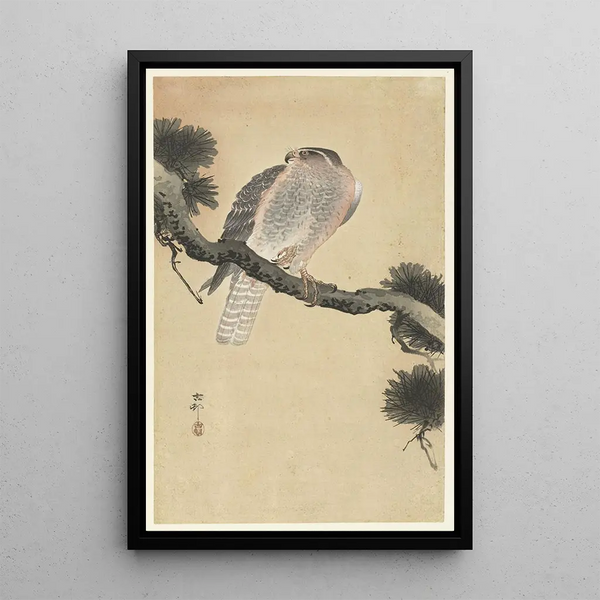 Haukka männynoksalla - Ohara Koson — kehystetty taideteos seinällä