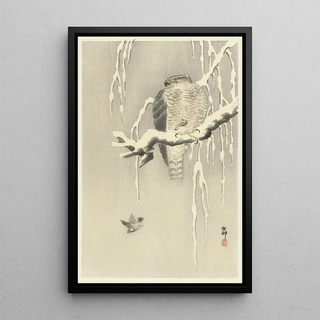 Ohara Koson - Hawk with captive tree sparrow.webp