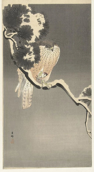 Ohara Koson - Hawk with sparrow.webp