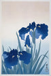 Iiris - Ohara Koson — näkymä teoksesta