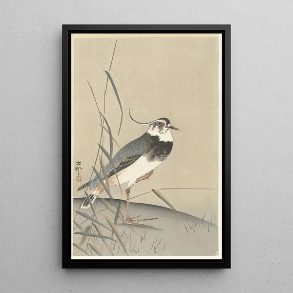 vanneau ja ruoko - Ohara Koson — kehystetty taideteos seinällä