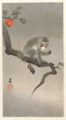 apina persimonipuun oksalla - Ohara Koson — näkymä teoksesta