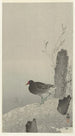 vesilintu - Ohara Koson — näkymä teoksesta