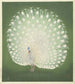 Paon - Ohara Koson — näkymä teoksesta