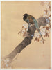 Faisan sur une branche de cerisier en fleurs - Ohara Koson — näkymä teoksesta