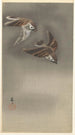 Kaulusvarpuset lumessa - Ohara Koson — näkymä teoksesta
