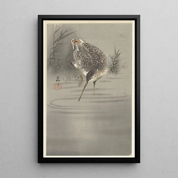Snipe vedessä - Ohara Koson — kehystetty taideteos seinällä