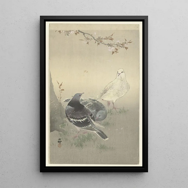 Kolme kesykyyhkyä - Ohara Koson — kehystetty taideteos seinällä