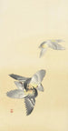 Kaksi taistelulintua - Ohara Koson — näkymä teoksesta