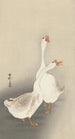 Kaksi hanhea - Ohara Koson — näkymä teoksesta