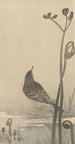 Vesi viheltäjä - Ohara Koson — näkymä teoksesta
