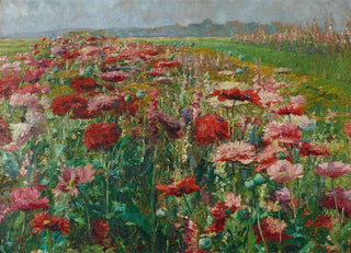 Olga WisingerFlorian - Blhender Mohn.webp