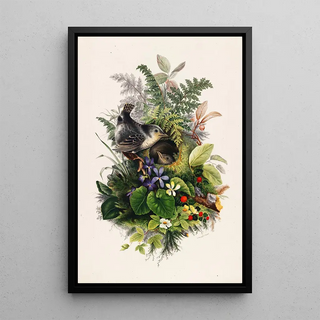 Olive E Whitney - Birds.webp