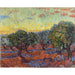Maalauksen jäljennös Oliveraie, Saint-Rémy - Vincent van Gogh