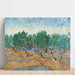 Maalauksen jäljennös Oliveraie - Vincent Van Gogh