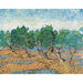 Maalauksen jäljennös Oliveraie - Vincent Van Gogh