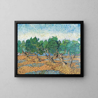 Reproduction tableau | Oliveraie - Vincent Van Gogh | Poster - Toile - Aluminium