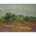 Maalauksen jäljennös Oliiveista - Vincent van Gogh