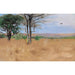Maalauksen jäljennös Ost Africa - Wilhelm Kuhnert
