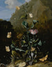 Nature morte d'un chardon et d'autres fleurs entourées de papillons de nuit, d'une libellule, d'un lézard et d'un serpent dans un paysage - Otto Marseus van Schrieck — näkymä teoksesta