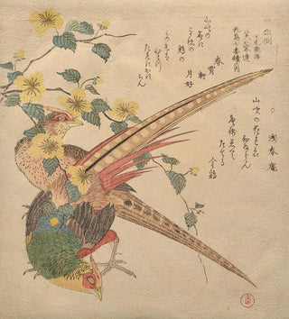 Paire de faisans chinois et une branche de fleurs yamabuki - Kubo Shunman