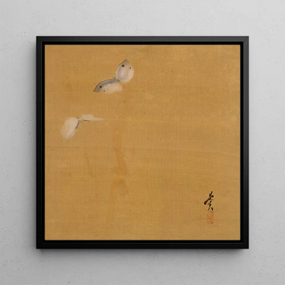 Papillons de nuit - Shibata Zeshin