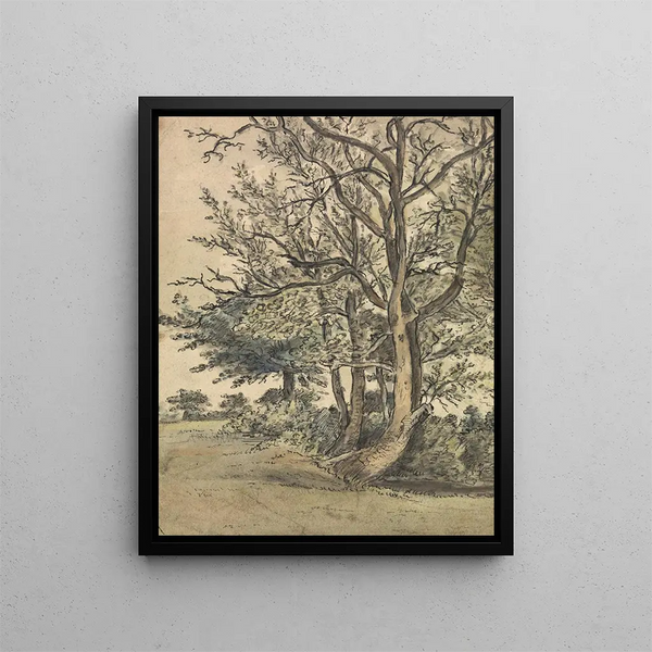 Patrick Nasmyth - Part of Regents Park.webp