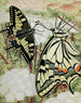 Le Machaon - Paul-André Robert — näkymä teoksesta
