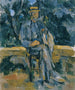 Portrait de paysan - Paul Cézanne — näkymä teoksesta