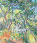Sous-bois - Paul Cézanne — näkymä teoksesta