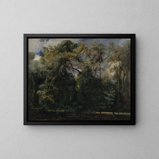 Les Ormes de Saint-Cloud - Paul Huet — kehystetty taideteos seinällä