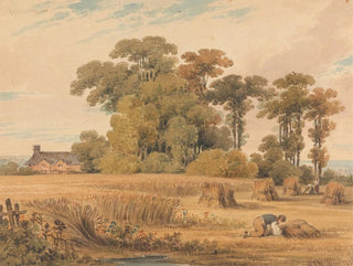 Un champ de maïs - Paul Sandby Munn — näkymä teoksesta