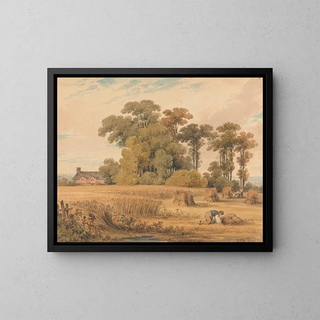 Un champ de maïs - Paul Sandby Munn — kehystetty taideteos seinällä
