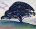 Le pin de Bonaventure - Paul Signac — näkymä teoksesta