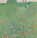 Poppypelto kukkivasta niitystä - Gustav Klimt — näkymä teoksesta