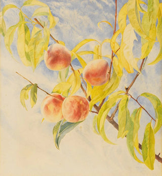 Pêches - Henry Roderick Newman