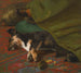 Pendant que les chiens dorment - John Emms — näkymä teoksesta