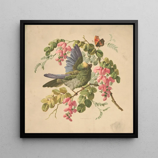 Perroquet vert et acacia - Louis Prang Co