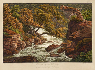 Cascade d'eau Chéret - Peter Birmann — näkymä teoksesta