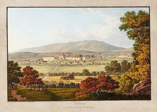 Peter Birmann - Delmont.webp