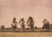 Falsterin maisemamaalaus - Peter Ilsted — näkymä teoksesta