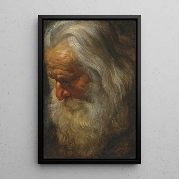 Pään tutkimus vanhasta parrakkaasta miehestä - Peter Paul Rubens — kehystetty taideteos seinällä