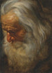 Pään tutkimus vanhasta parrakkaasta miehestä - Peter Paul Rubens — näkymä teoksesta