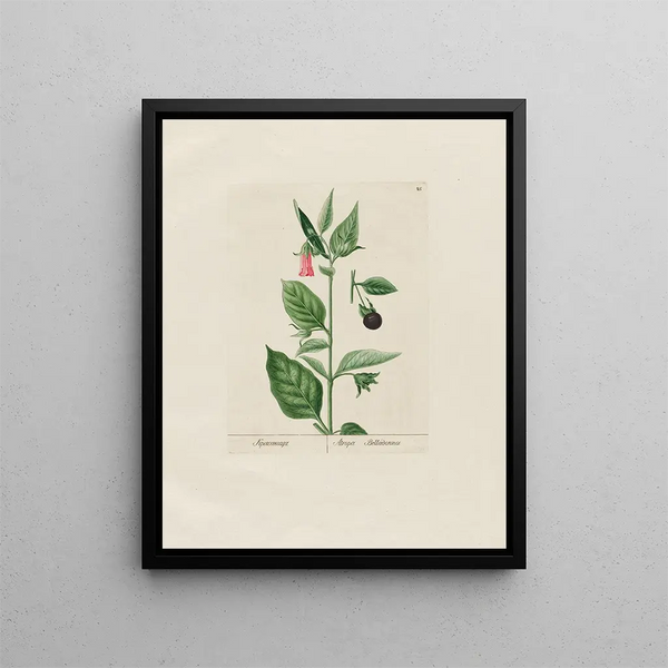 Petr Martynovich Gofman - Atropa Belladonna.webp